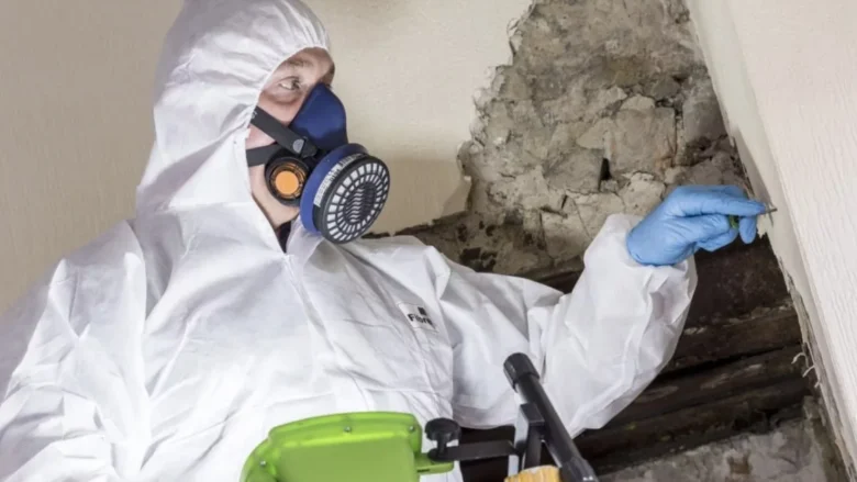 Asbestos Removal and Remediation